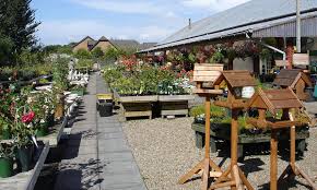 ayrshire garden centres