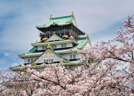 2024 osaka cherry blossom guide top 10