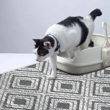 Sussexhome 2 Ft X 4 Ft Mat Cat And Dog Litter Mat For Litter Box
