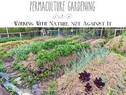 Permaculture Gardening Working With