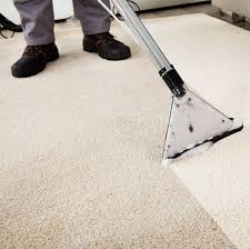 the 1 carpet cleaning in bay s ny