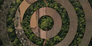 largest land grab in the brazilian amazon