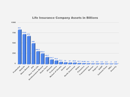 Top 10 Best Life Insurance Companies Noexam Com