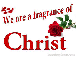 14 verses about fragrance