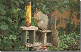 squirrel feeder plans how to make a