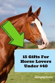15 horse gifts under 40 earning and