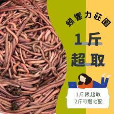 蚯蚓激素- 優惠推薦- 2023年9月| 蝦皮購物台灣