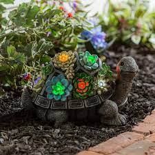 Evergreen Solar Resin Succulent Turtle