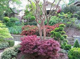 20 Ways To Landscape With Shrubs Home