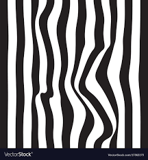 Striped Abstract Background Black And White Zebra Vector Image