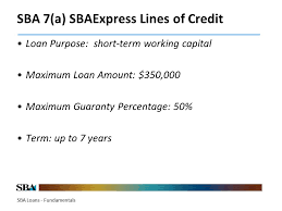 Sba Loan Programs General Overview Training Score Los