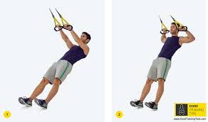 trx exercises for lower back pain