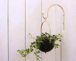 Brass Plant Hanger Minimalist Plant
