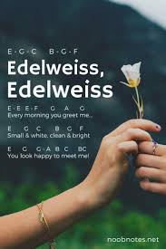 Hello and welcome, here you will be able to see through a recorder notes chart quickly all the notes of the recorder. Edelweiss Rodgers And Hammerstein Letter Notes For Beginners Music Notes For Newbies