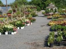 bountiful gardens hillsborough nj 08844