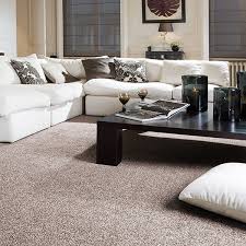 perfect carpet for your living room