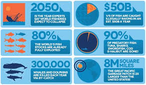 Basic Grade 6 8 The Effects Of Overfishing Save Our