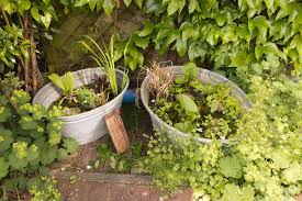 How To Make A Small Pond In Your Garden