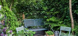 What Can I Grow In A Dry Shady Spot