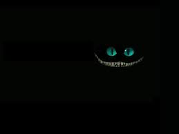 Image result for cheshire cat grin