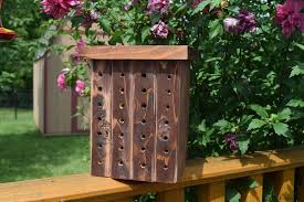 Build A Bee House Woodlogger