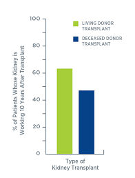 Understanding Organ Donation And Kidney Transplant Options