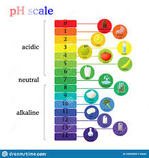 Ph Scale Diagram With Corresponding Acidic Or Alkaline