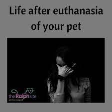 Whether it's grieving the loss of a pet after euthanasia or after an unexpected accident, your brain will go into crisis mode immediately after the death, cutting off access to the part of your brain you use for logistics, scheduling, and judgment, stewart says. Life After Euthanasia For Bereaved Pet Carers