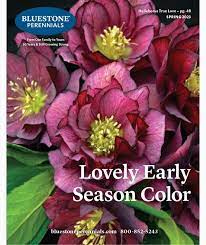 41 free seed catalogs and plant catalogs