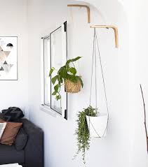 Wall Plant Hanger
