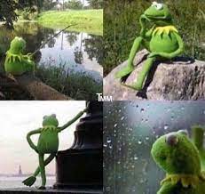 All of us waiting for tiktok servers to ...