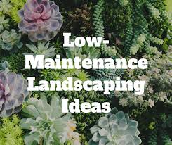 Low Maintenance Landscaping Ideas