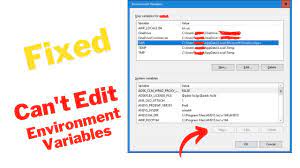 environment variable is disabled can t