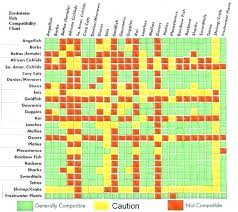 Goldfish Petco Freshwater Tropical Fish Compatibility Chart