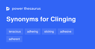 نتیجه جستجوی لغت [clinging] در گوگل