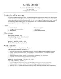 beauty and spa resume builder rocket