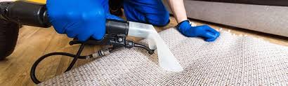 olympia area rug cleaning pro eagle