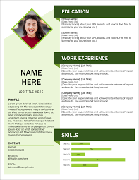 013 Professional Resume Template Free Download Ideas