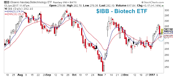 Biotech Sector Ibb A Closer Look At The 2017 Rally