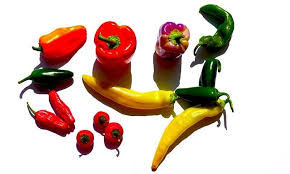 garden fresh banana pepper salsa