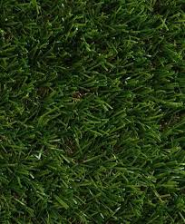 ebra royal 25mm artificial lawn gr