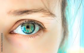 a beautiful woman s blue green eye with