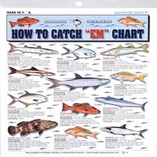 Fishermans Saltwater Fish Chart 1