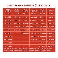 14 Symbolic Puppy Food Feeding Chart