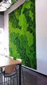 Moss Wall Moss Wall Art