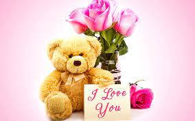 valentines day teddy bear pink roses i