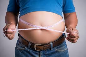 best homeopathic cines for obesity