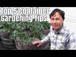 Top 5 Container Gardening Tips