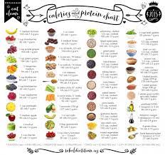 protein chart food charts healthy eating