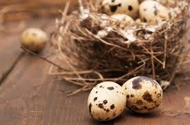 Quail Eggs 101 Everything You Wanted To Know Plus 5 Recipes